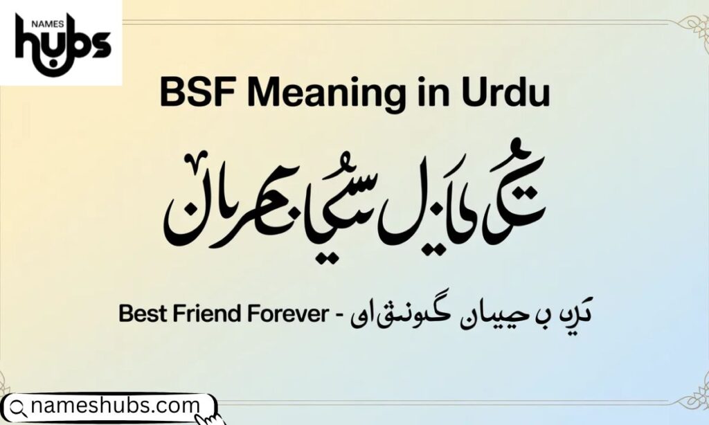 BSF Meaning in Urdu
