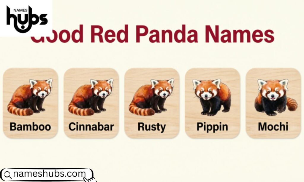 Good Red Panda Names 