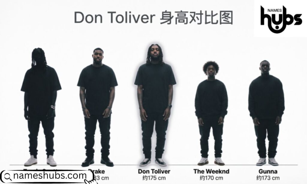 Don Toliver Height Compared to Other Artists