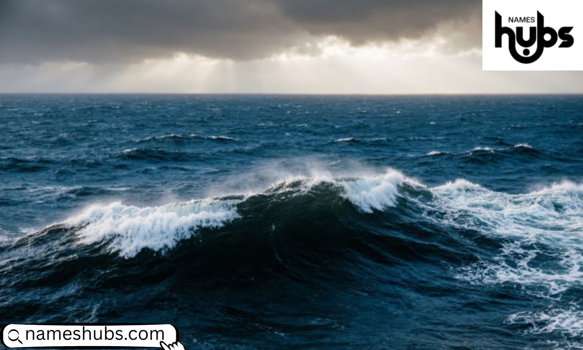 Rod Wave Height