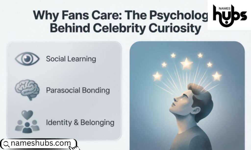Why Fans Care The Psychology Behind Celebrity Curiosity