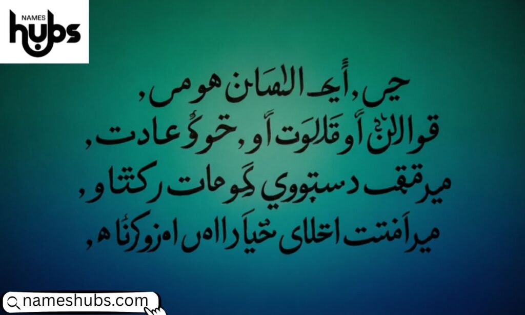 Islamic Bio in Urdu